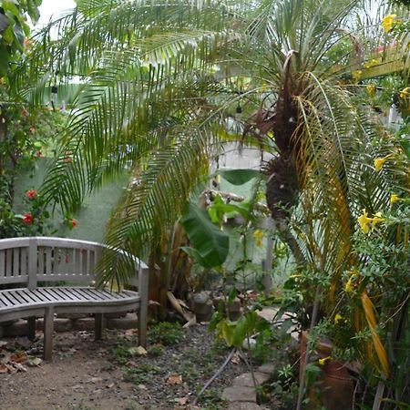 Palmetto Guesthouse 쿨레브라 외부 사진