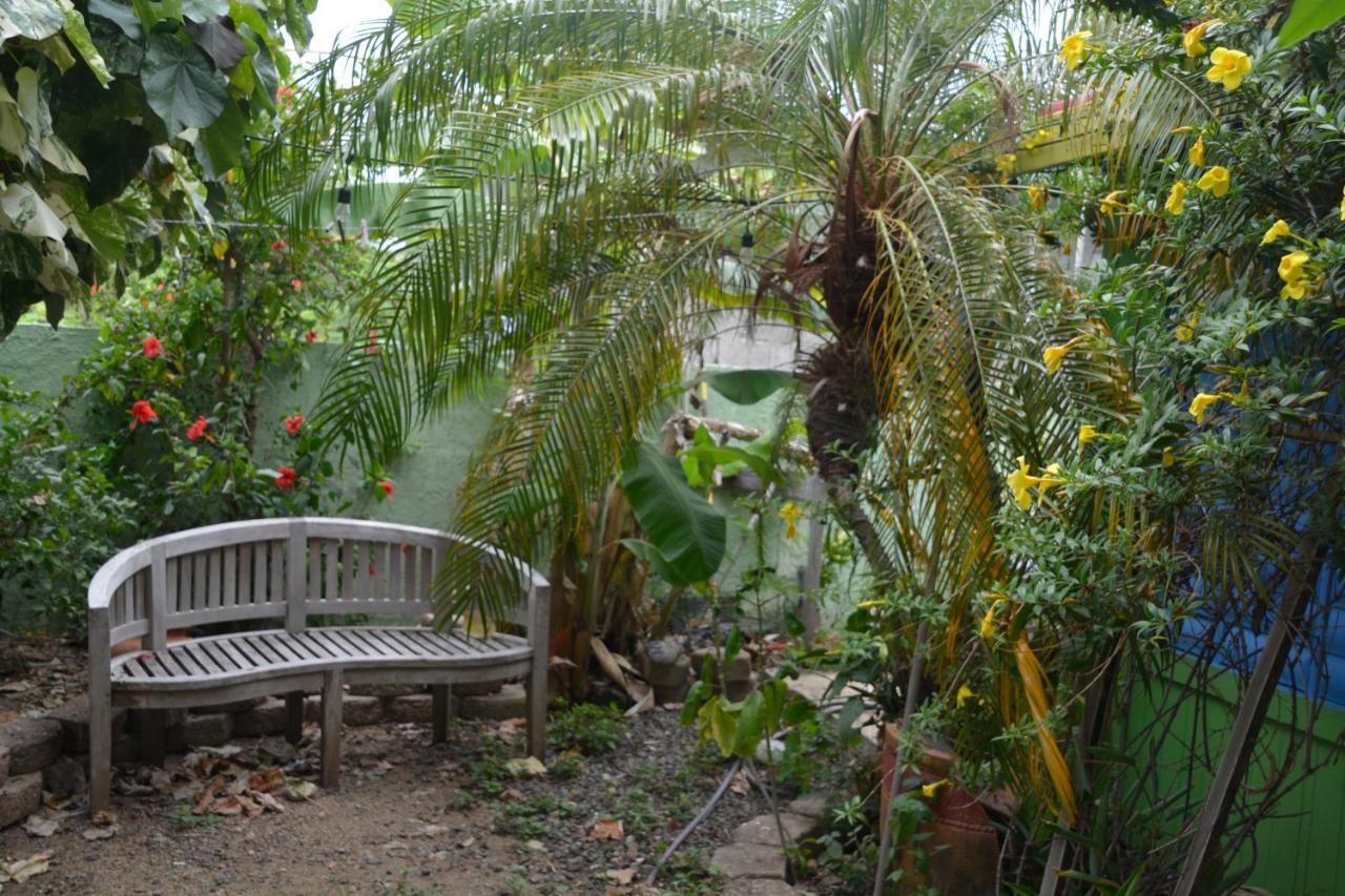 Palmetto Guesthouse 쿨레브라 외부 사진