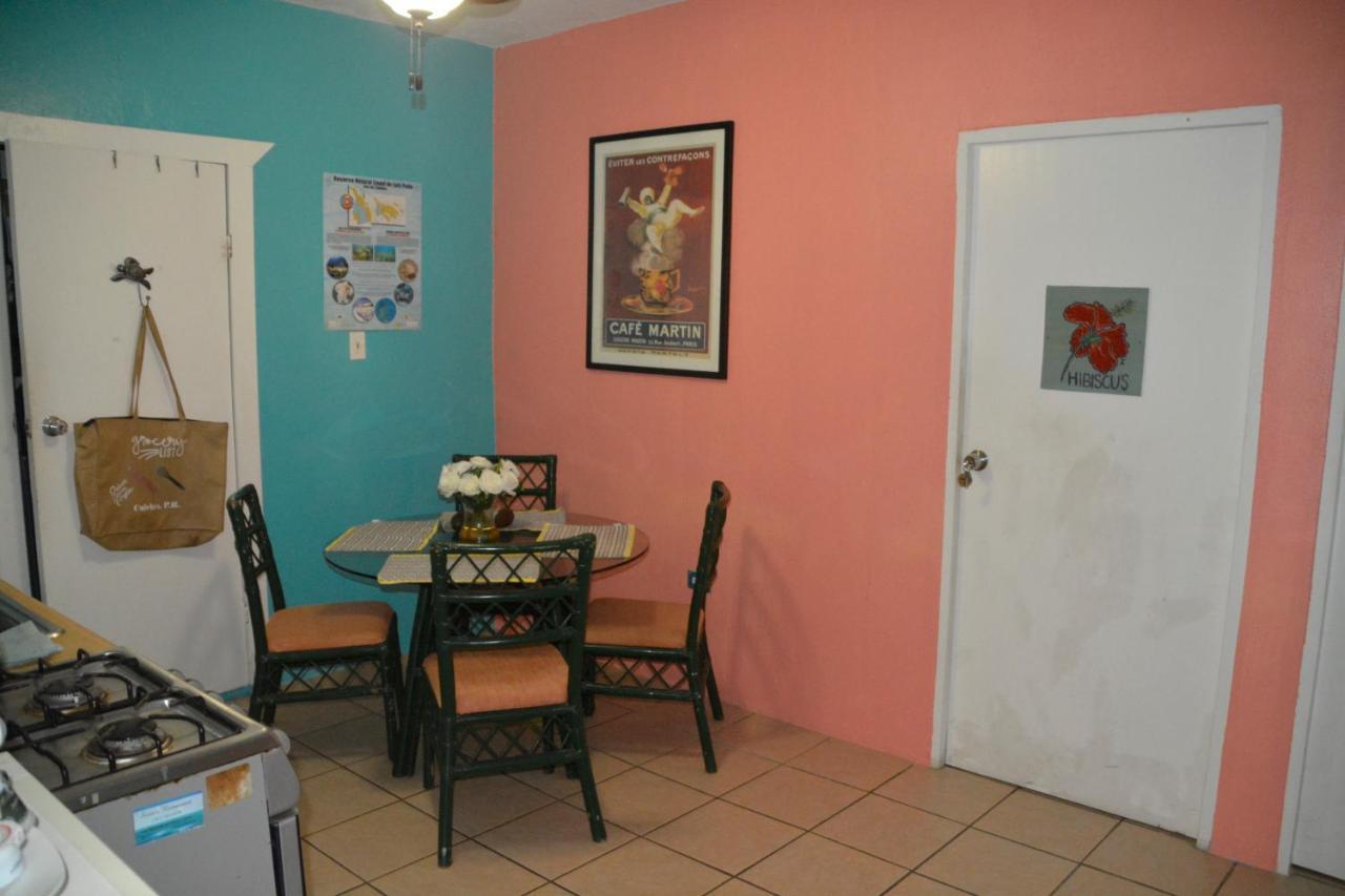 Palmetto Guesthouse 쿨레브라 외부 사진