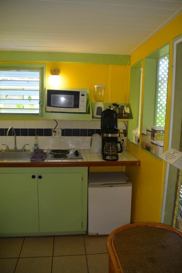 Palmetto Guesthouse 쿨레브라 외부 사진